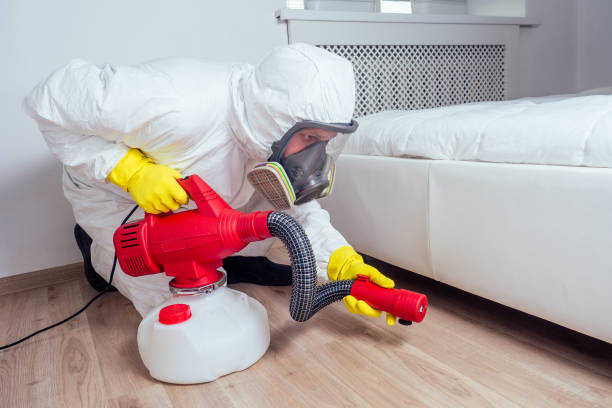 Best Affordable Pest Control Services  in Midland, WA