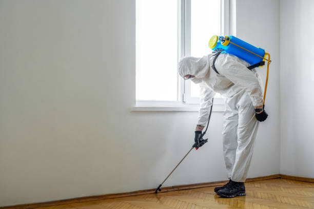 Best Best Pest Control Near Me  in Midland, WA