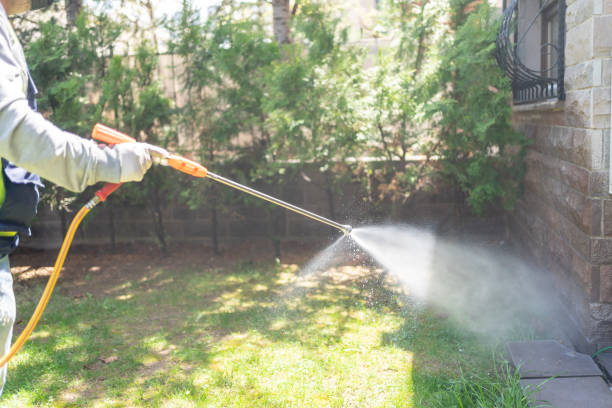 Best Rat Extermination Near Me  in Midland, WA