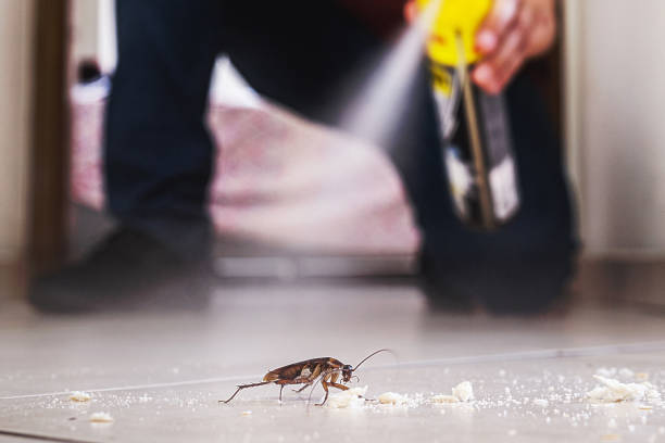 Reliable Midland, WA Pest Control Solutions